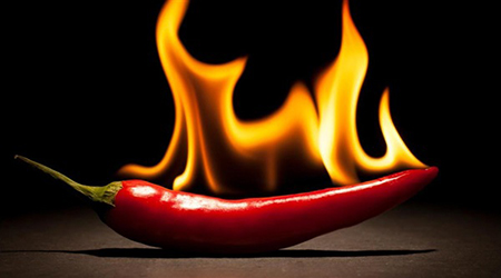 البوابة الطبية | أخبار يومية لحياة صحية