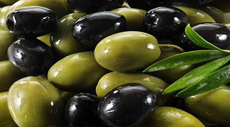 البوابة الطبية | أخبار يومية لحياة صحية