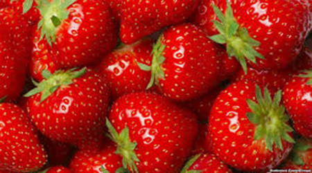 البوابة الطبية | أخبار يومية لحياة صحية